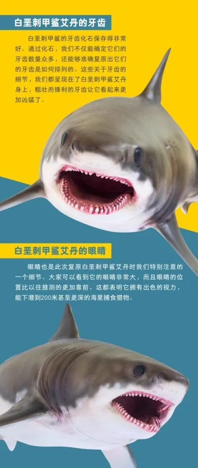 PNSO恐龙大王成长陪伴系列54 白垩刺甲鲨艾丹