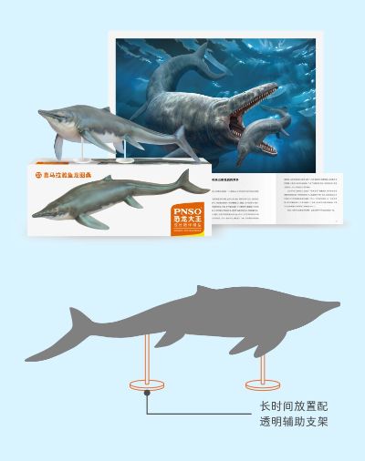 PNSO恐龙大王-成长陪伴系列55 喜马拉雅鱼龙图桑