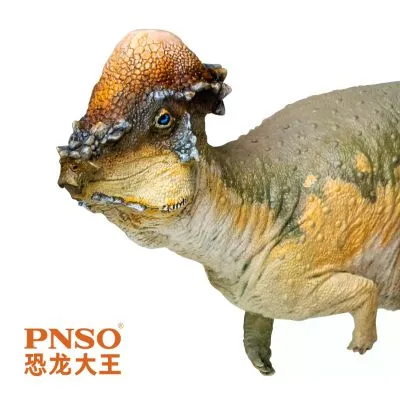 PNSO恐龙大王  成长陪伴模型46 肿头龙奥斯汀