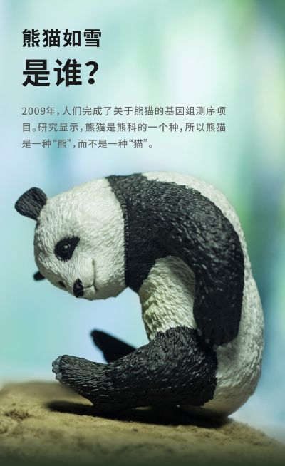 PNSO动物园成长陪伴模型11 熊猫如雪