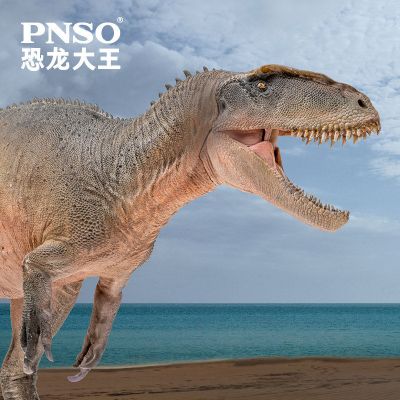 PNSO恐龙大王 成长陪伴模型62 中华盗龙新川