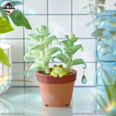 一番赏 爬行类&两栖类～小小伙伴～第三弹 C赏 日本树蛙与观叶植物饰品架