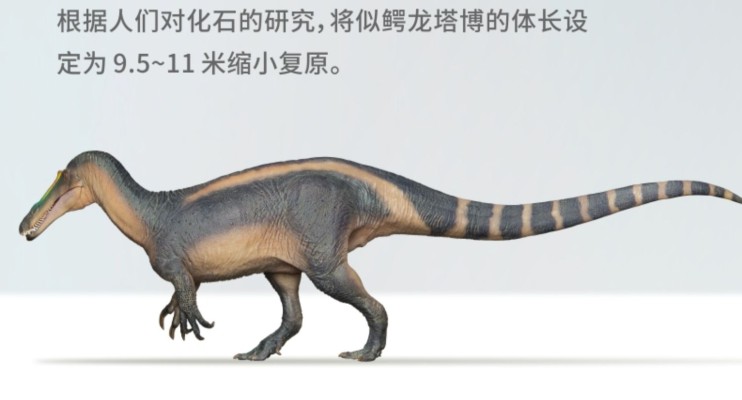 PNSO恐龙大王 成长陪伴模型67 似鳄龙塔博