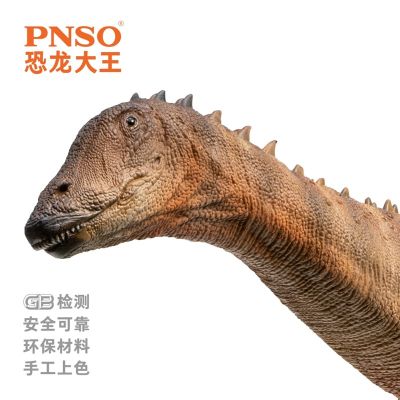 PNSO恐龙大王 成长陪伴模型63 灵武龙川川 ​​​