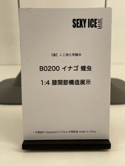 虫 人工进化实验体 B0200 蝗虫 膝关节构造