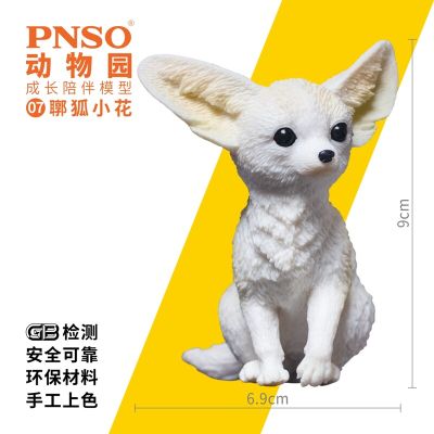 PNSO动物园成长陪伴模型07 耳廓狐小花
