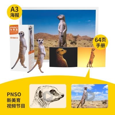 PNSO动物园成长陪伴模型12 猫鼬朵朵