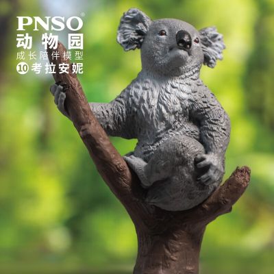 PNSO动物园成长陪伴模型10 考拉安妮