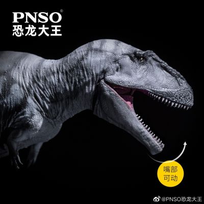 PNSO恐龙大王 成长陪伴模型69 米拉西斯龙芒戈