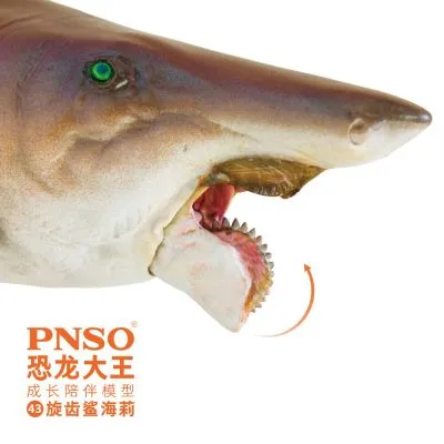 PNSO恐龙大王  成长陪伴模型43 旋齿鲨海莉