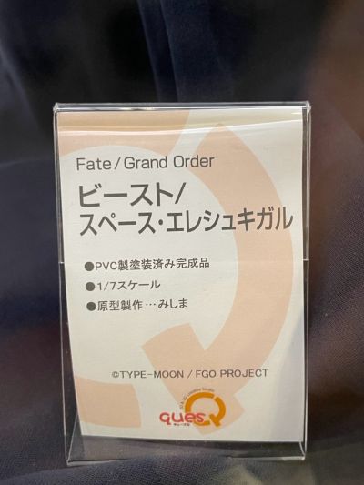 命运-冠位指定 兽-太空埃列什基伽勒【第三再临】