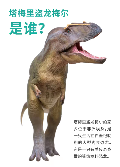 成长陪伴模型95  塔梅里盗龙梅尔