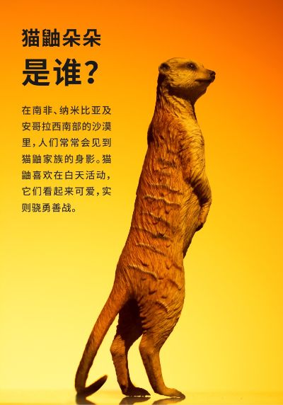 PNSO动物园成长陪伴模型12 猫鼬朵朵