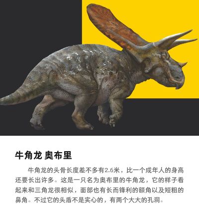 PNSO恐龙博物馆1:35科学艺术模型 牛角龙奥布里和大贝