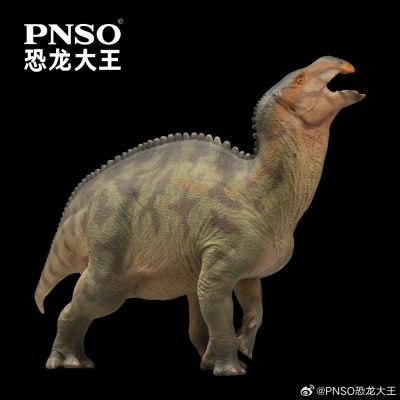 成长陪伴模型97  兰州龙兰奇