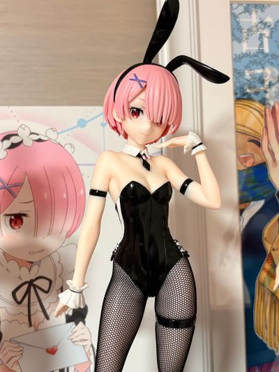 BiCute Bunnies Re：从零开始的异世界生活 拉姆·bicolor