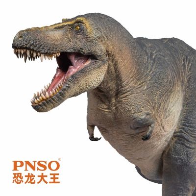 PNSO恐龙大王成长陪伴模型51 特暴龙川子