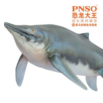 PNSO恐龙大王-成长陪伴系列55 喜马拉雅鱼龙图桑