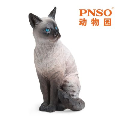 PNSO动物园成长陪伴模型13 暹罗猫萨利亚