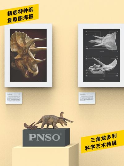 PNSO恐龙博物馆1：35科学艺术模型 新版三角龙多利附三角龙头骨
