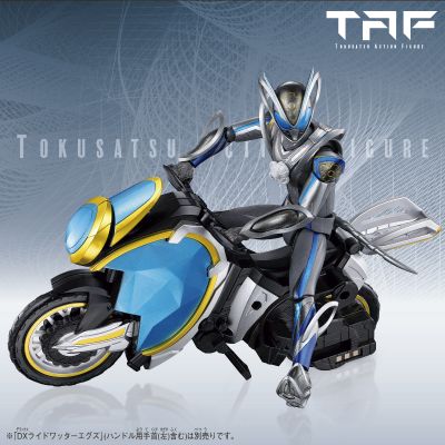 TAF 假面骑士麦斯&麦斯物种蛋