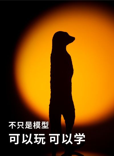 PNSO动物园成长陪伴模型12 猫鼬朵朵