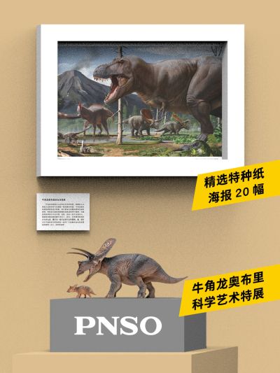PNSO恐龙博物馆1:35科学艺术模型 牛角龙奥布里和大贝
