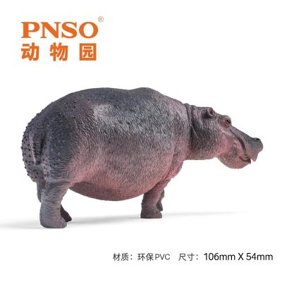 PNSO动物园成长陪伴模型09 河马墩奇