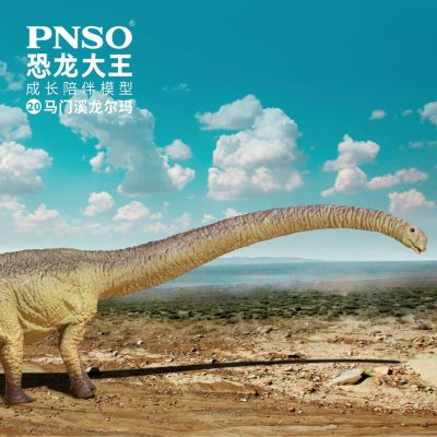 PNSO恐龙大王成长陪伴模型20 马门溪龙尔玛