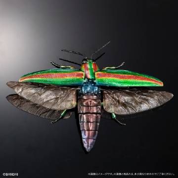 扭蛋 生物大图鉴ADVANCE 彩艳吉丁蟲和金色甲虫展示台座＆树皮台座（中）套装