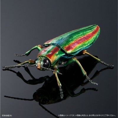 扭蛋 生物大图鉴ADVANCE 彩艳吉丁蟲和金色甲虫展示台座＆树皮台座（中）套装