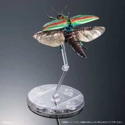 扭蛋 生物大图鉴ADVANCE 彩艳吉丁蟲和金色甲虫展示台座＆树皮台座（中）套装