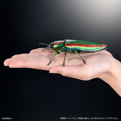 扭蛋 生物大图鉴ADVANCE 彩艳吉丁蟲和金色甲虫展示台座＆树皮台座（中）套装