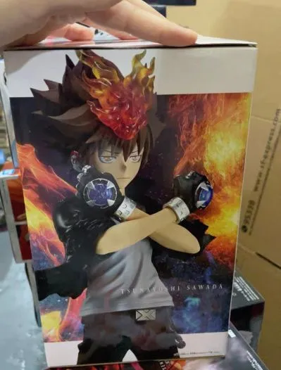 Grandista 家庭教师 泽田纲吉