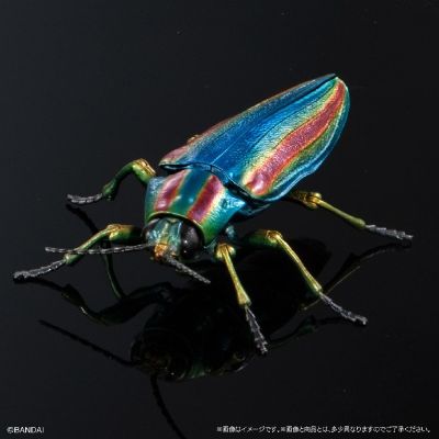 扭蛋 生物大图鉴ADVANCE 彩艳吉丁蟲和金色甲虫展示台座＆树皮台座（中）套装
